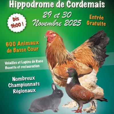 Sans titre 2